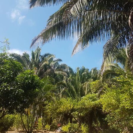 Eco Hostal Monolandia El Zaino Dış mekan fotoğraf