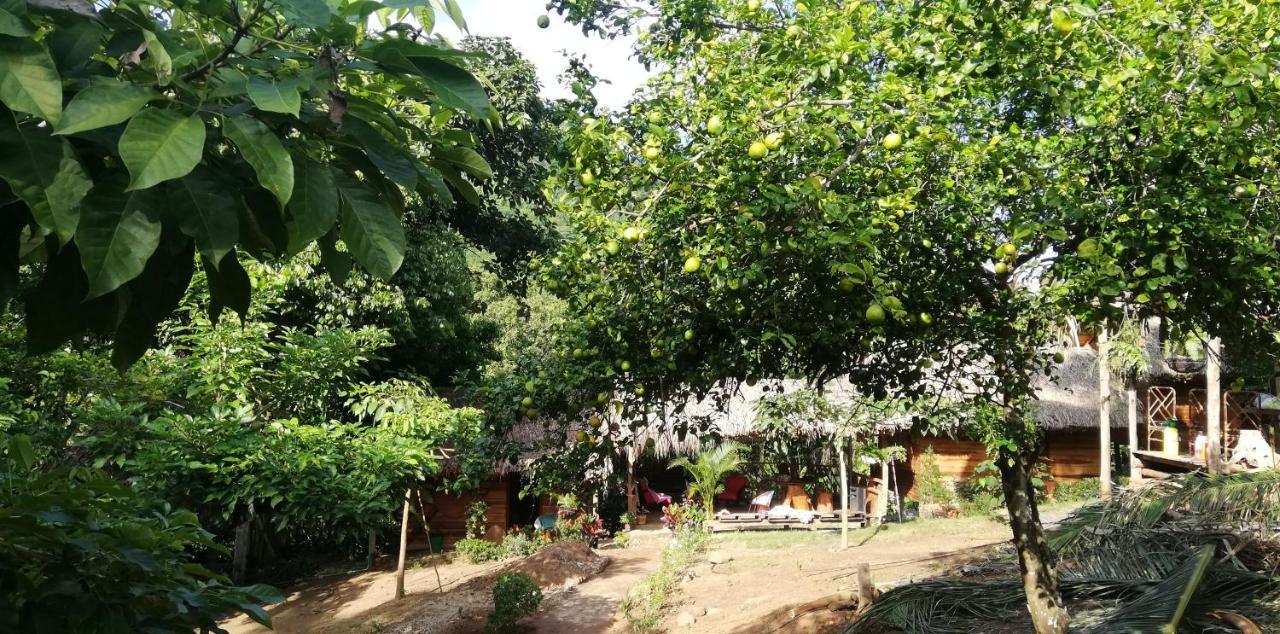 Eco Hostal Monolandia El Zaino Dış mekan fotoğraf