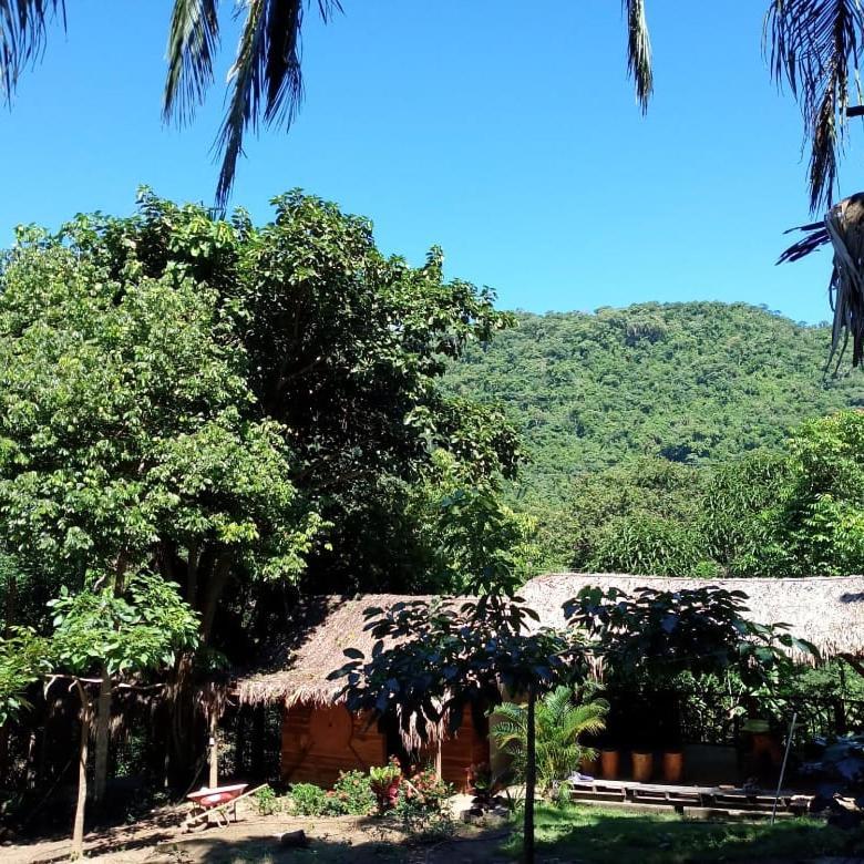Eco Hostal Monolandia El Zaino Dış mekan fotoğraf