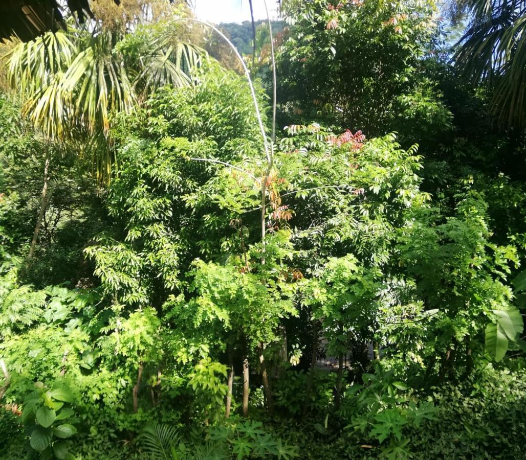 Eco Hostal Monolandia El Zaino Dış mekan fotoğraf