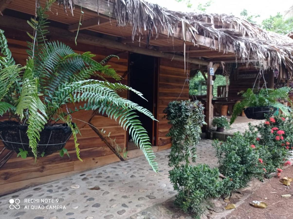 Eco Hostal Monolandia El Zaino Dış mekan fotoğraf