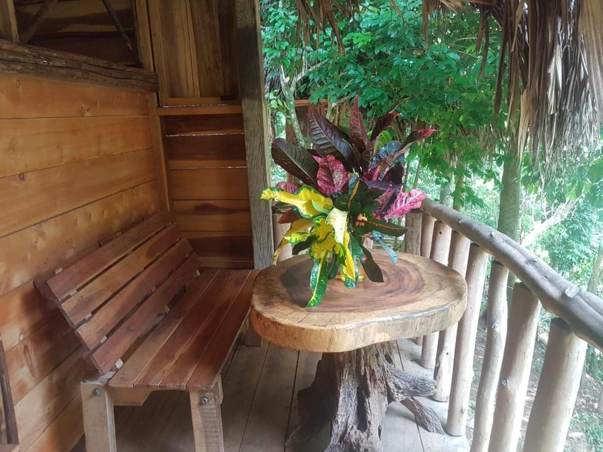 Eco Hostal Monolandia El Zaino Dış mekan fotoğraf