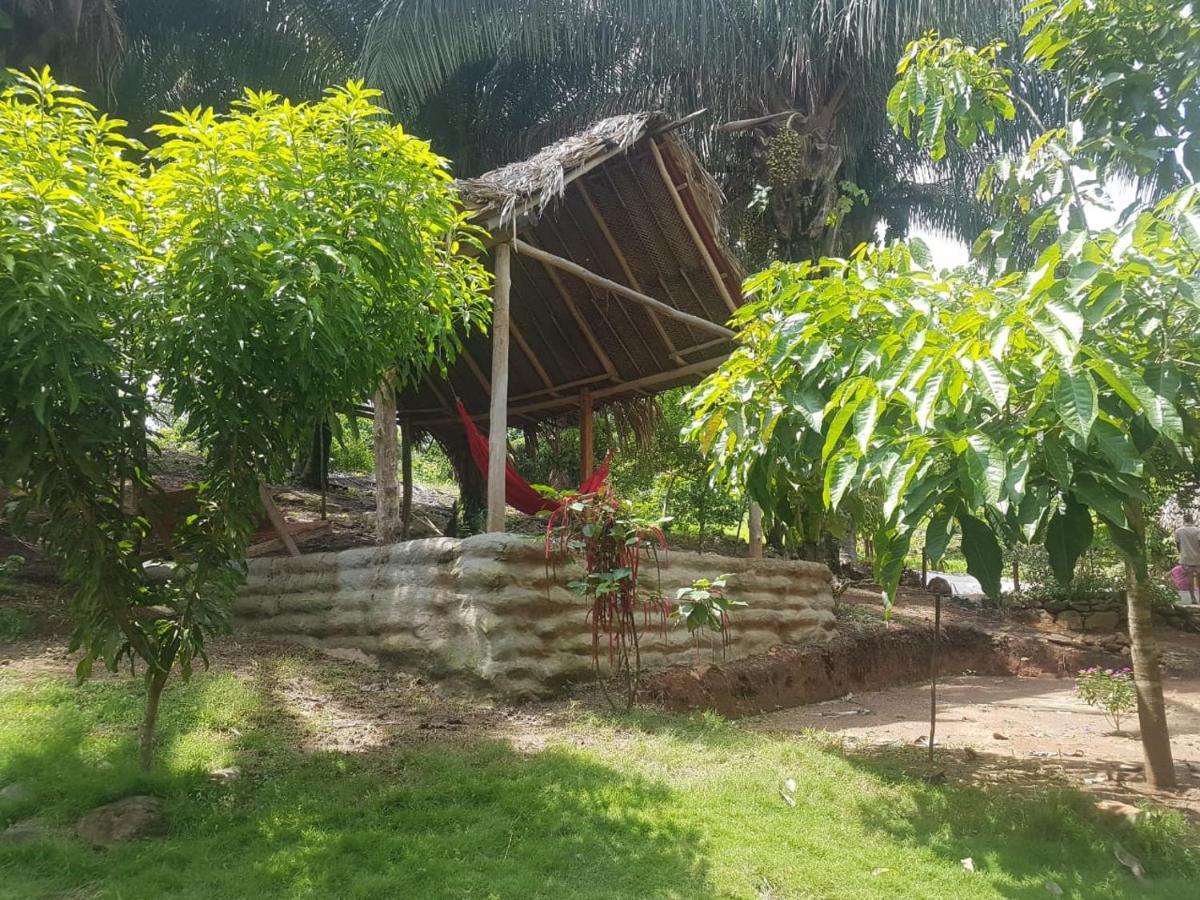 Eco Hostal Monolandia El Zaino Dış mekan fotoğraf