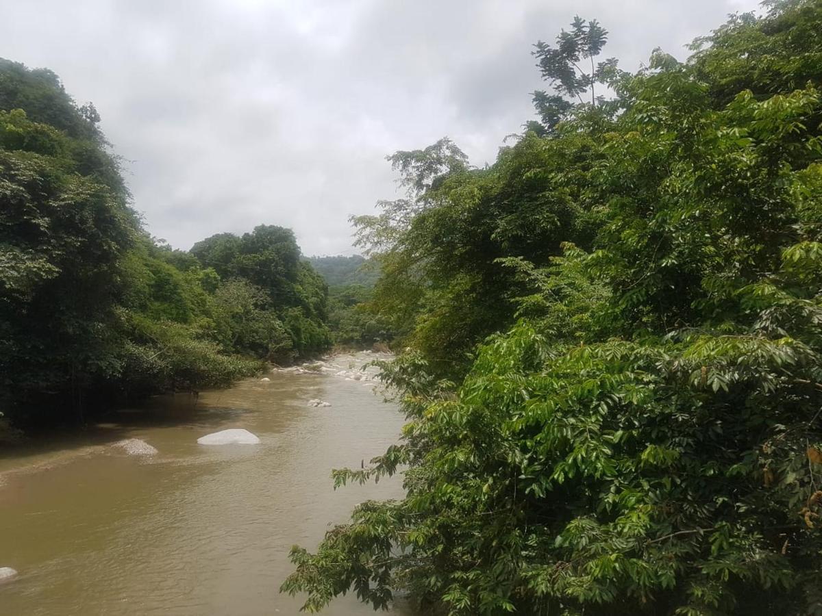 Eco Hostal Monolandia El Zaino Dış mekan fotoğraf