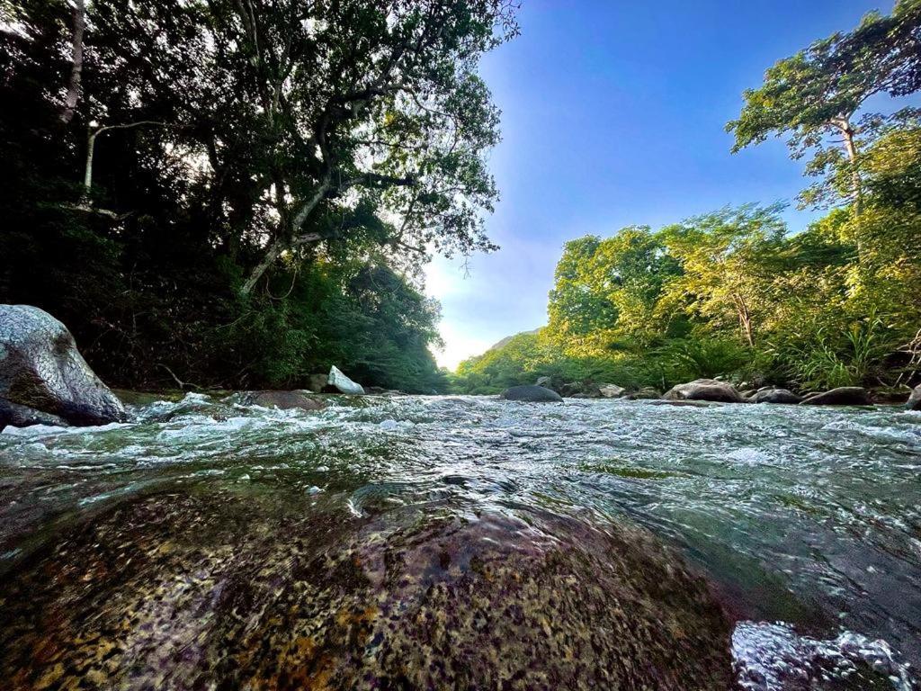 Eco Hostal Monolandia El Zaino Dış mekan fotoğraf