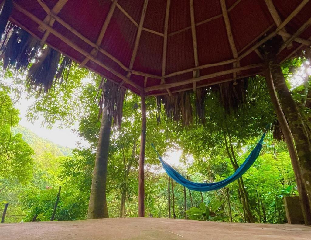 Eco Hostal Monolandia El Zaino Dış mekan fotoğraf