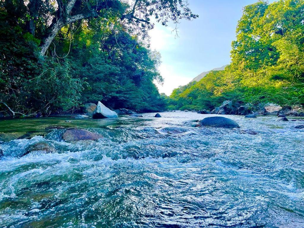 Eco Hostal Monolandia El Zaino Dış mekan fotoğraf