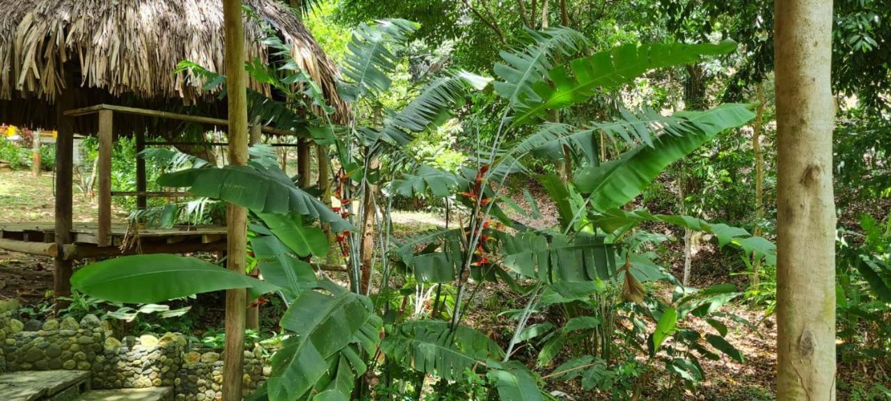 Eco Hostal Monolandia El Zaino Dış mekan fotoğraf