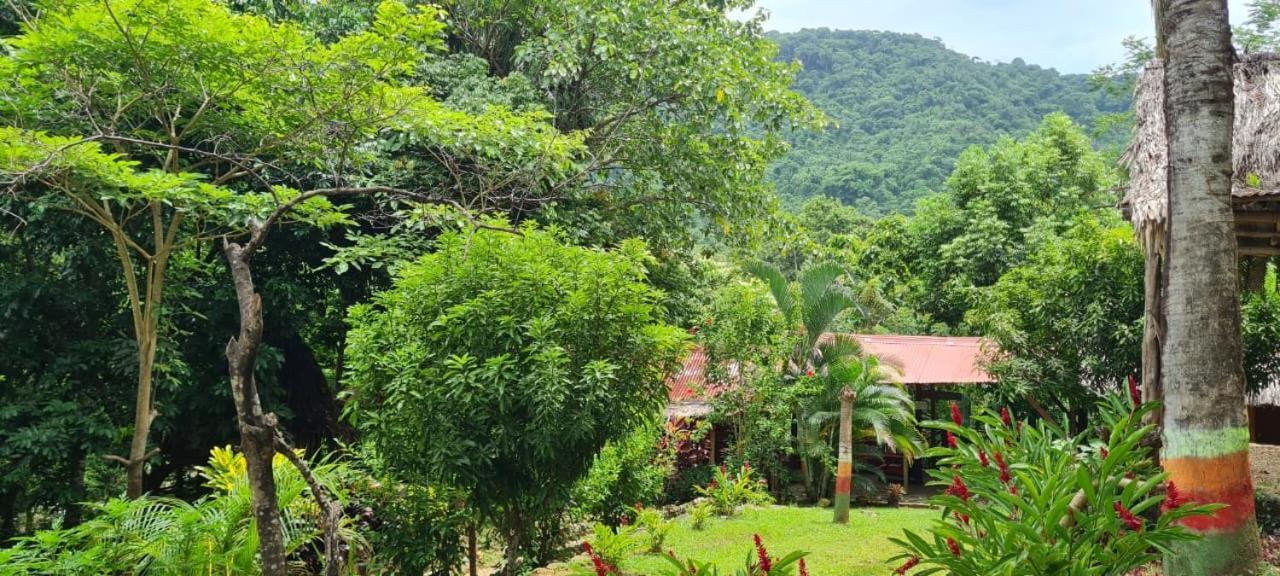 Eco Hostal Monolandia El Zaino Dış mekan fotoğraf