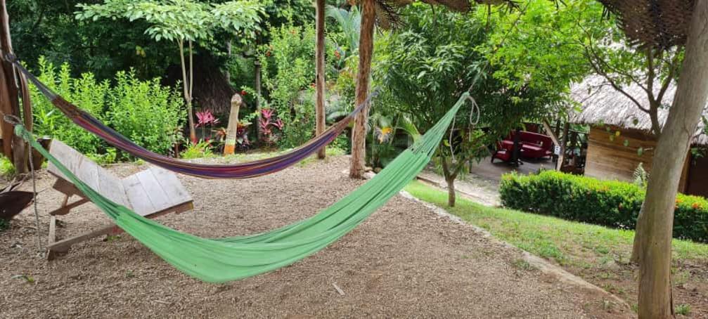 Eco Hostal Monolandia El Zaino Dış mekan fotoğraf