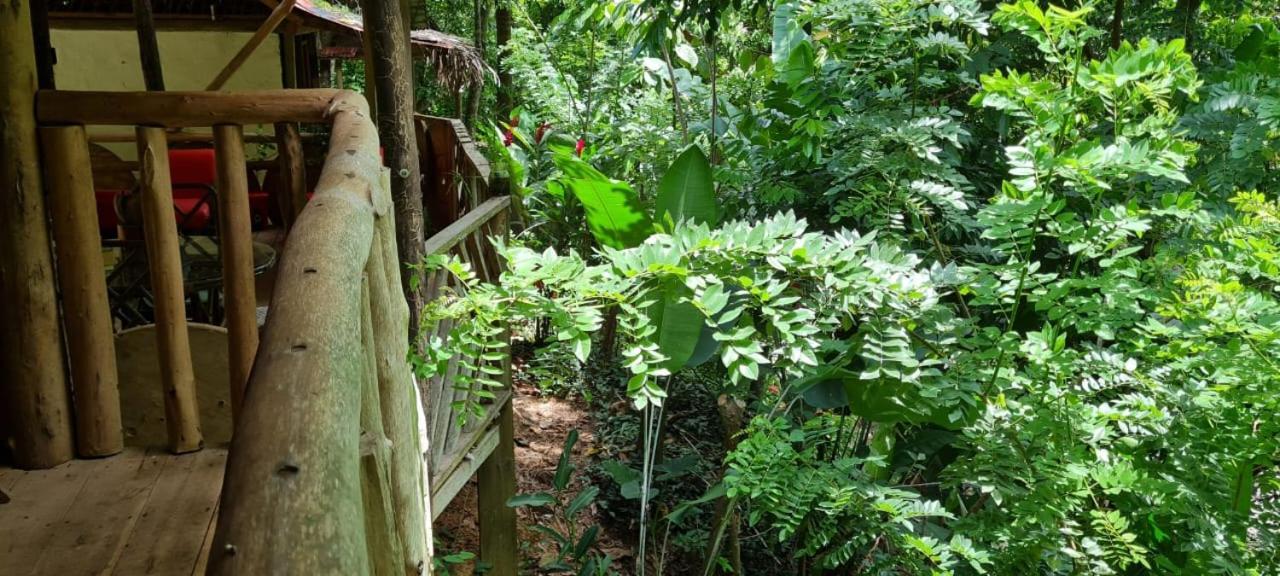 Eco Hostal Monolandia El Zaino Dış mekan fotoğraf