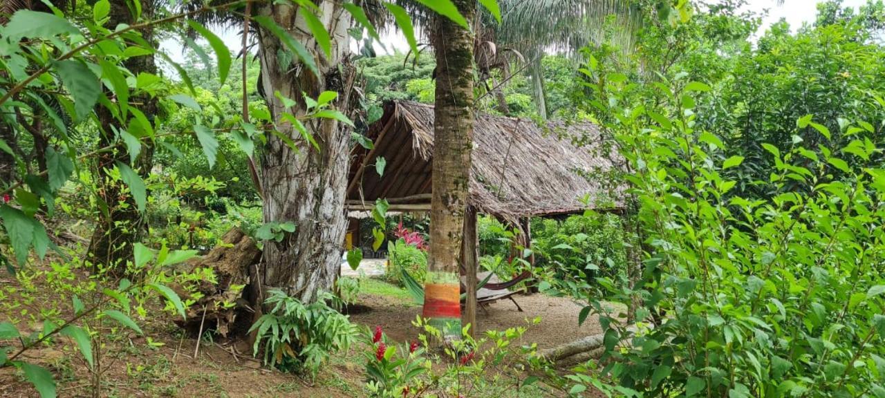 Eco Hostal Monolandia El Zaino Dış mekan fotoğraf