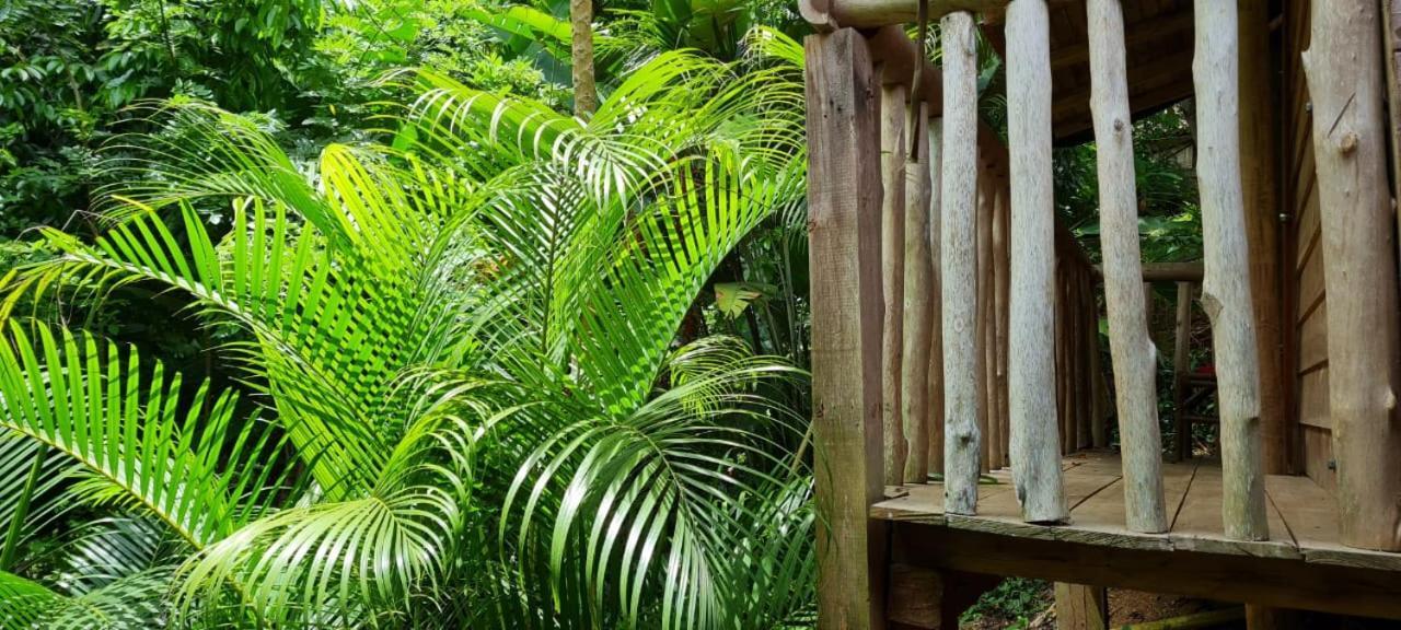 Eco Hostal Monolandia El Zaino Dış mekan fotoğraf