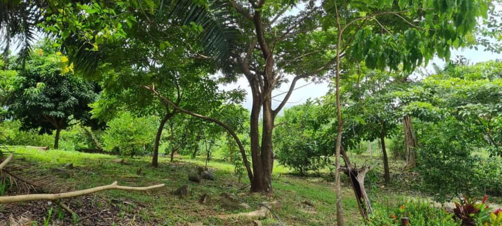 Eco Hostal Monolandia El Zaino Dış mekan fotoğraf