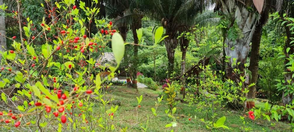 Eco Hostal Monolandia El Zaino Dış mekan fotoğraf