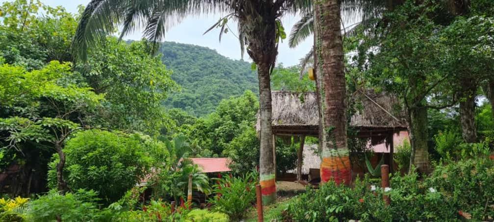 Eco Hostal Monolandia El Zaino Dış mekan fotoğraf