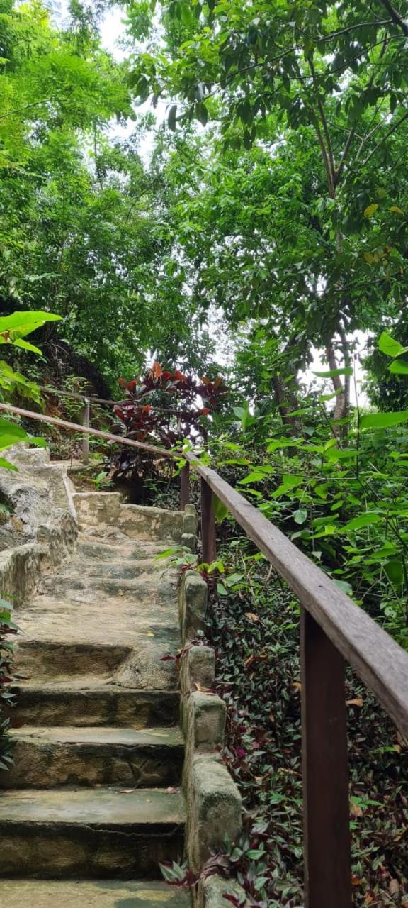 Eco Hostal Monolandia El Zaino Dış mekan fotoğraf