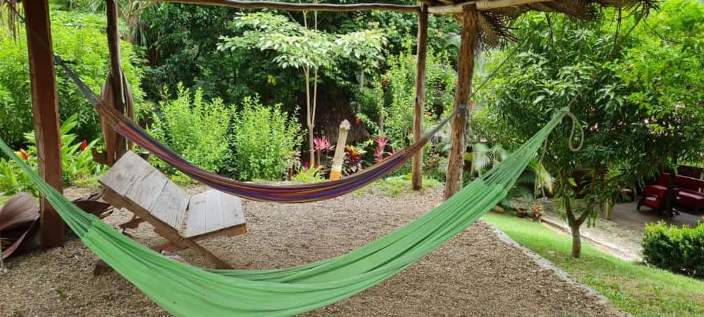 Eco Hostal Monolandia El Zaino Dış mekan fotoğraf
