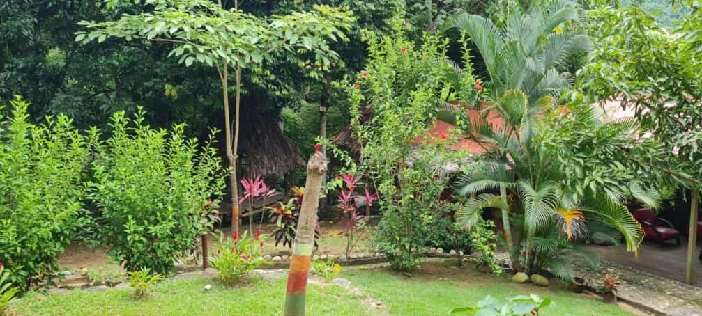 Eco Hostal Monolandia El Zaino Dış mekan fotoğraf