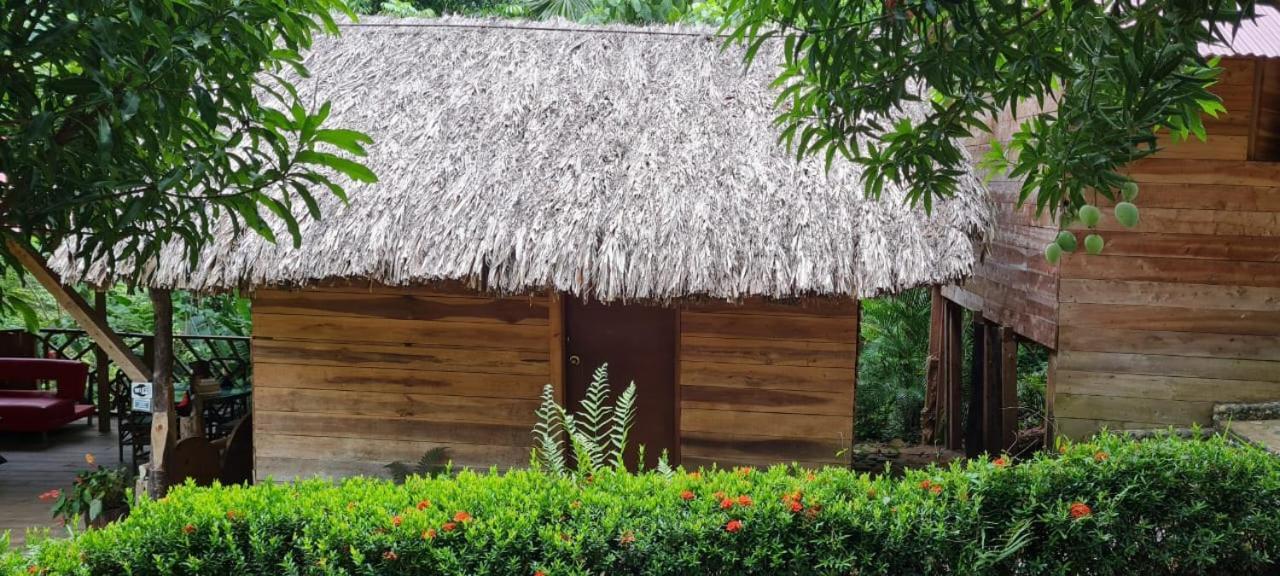Eco Hostal Monolandia El Zaino Dış mekan fotoğraf