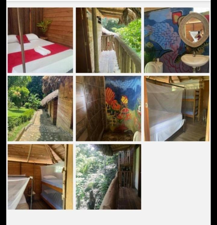 Eco Hostal Monolandia El Zaino Oda fotoğraf
